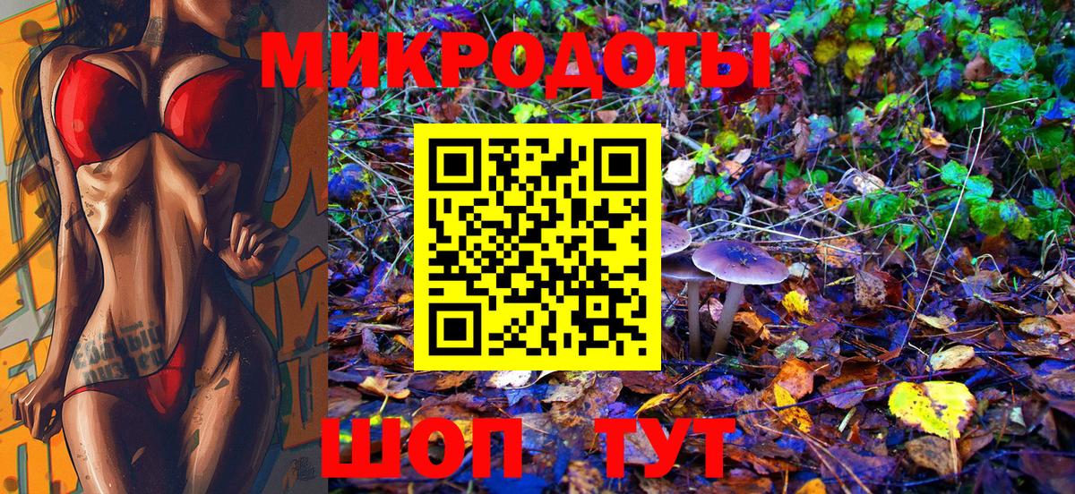 Псилоцибиновые грибы мицелий  где можно купить наркотик  Усть-Джегута  Вход с VPN 